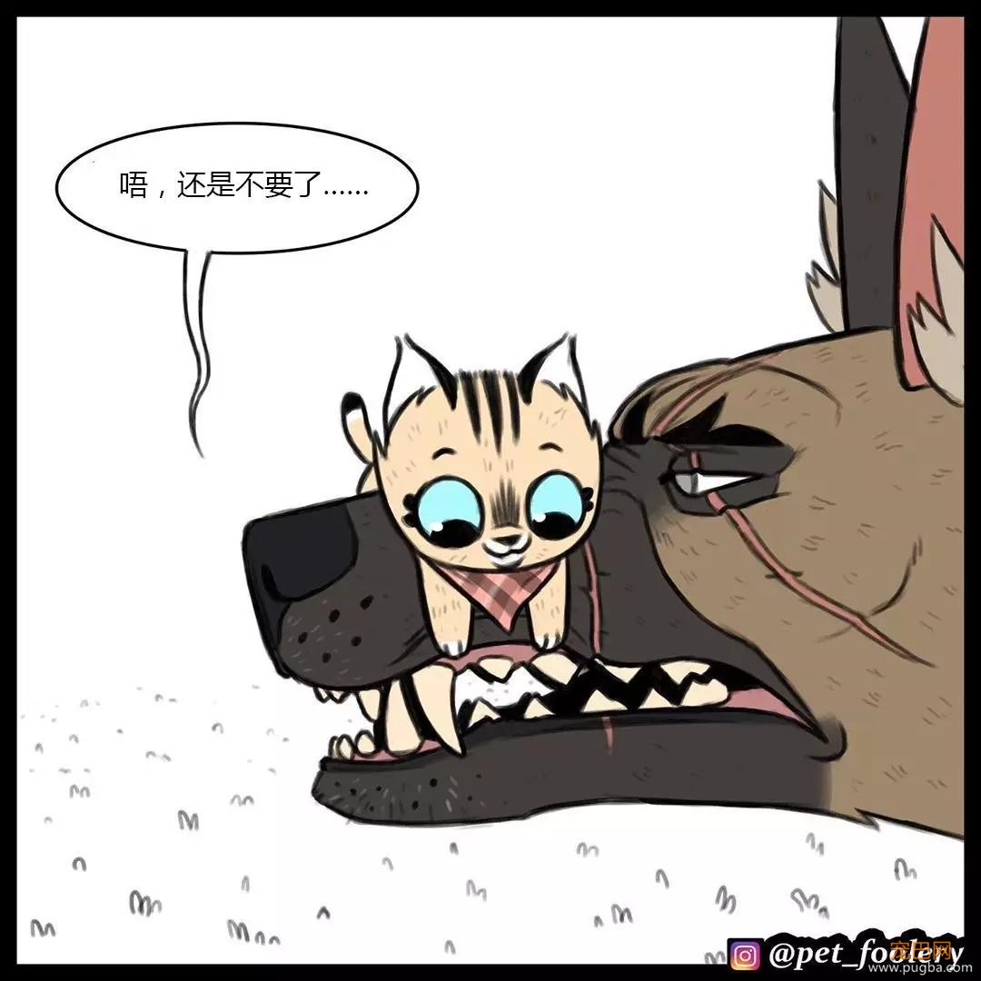退役军犬和大眼萌猫的故事，续集来了！-25.jpg