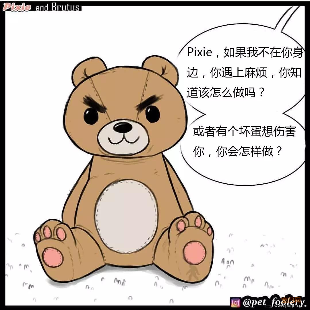 退役军犬和大眼萌猫的故事，续集来了！-37.jpg