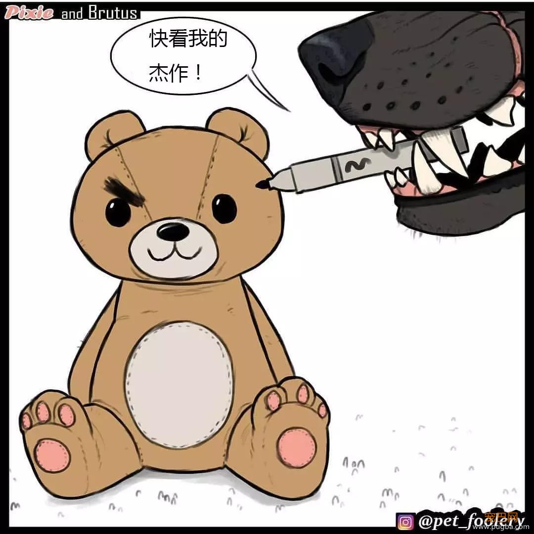 退役军犬和大眼萌猫的故事，续集来了！-36.jpg