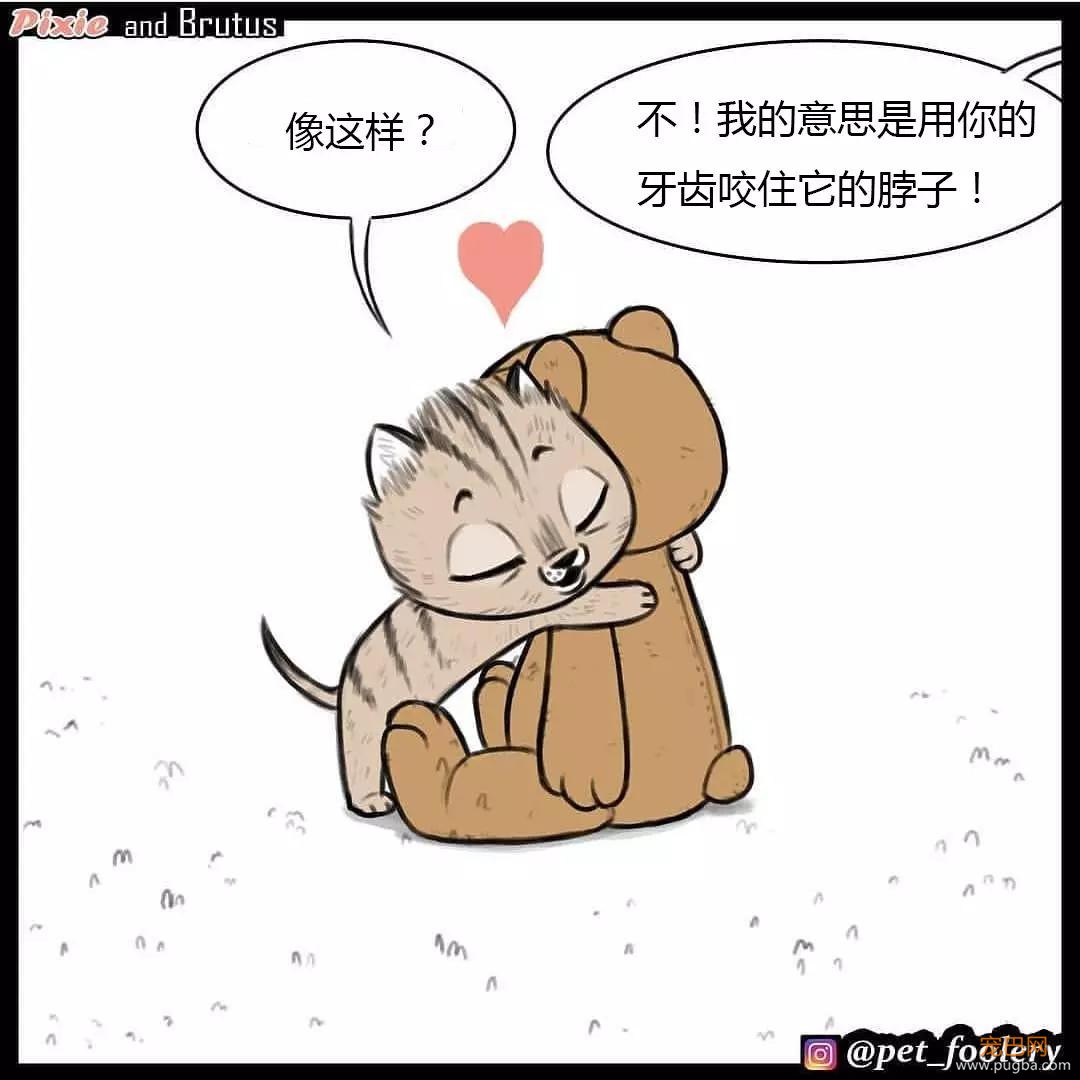 退役军犬和大眼萌猫的故事，续集来了！-40.jpg