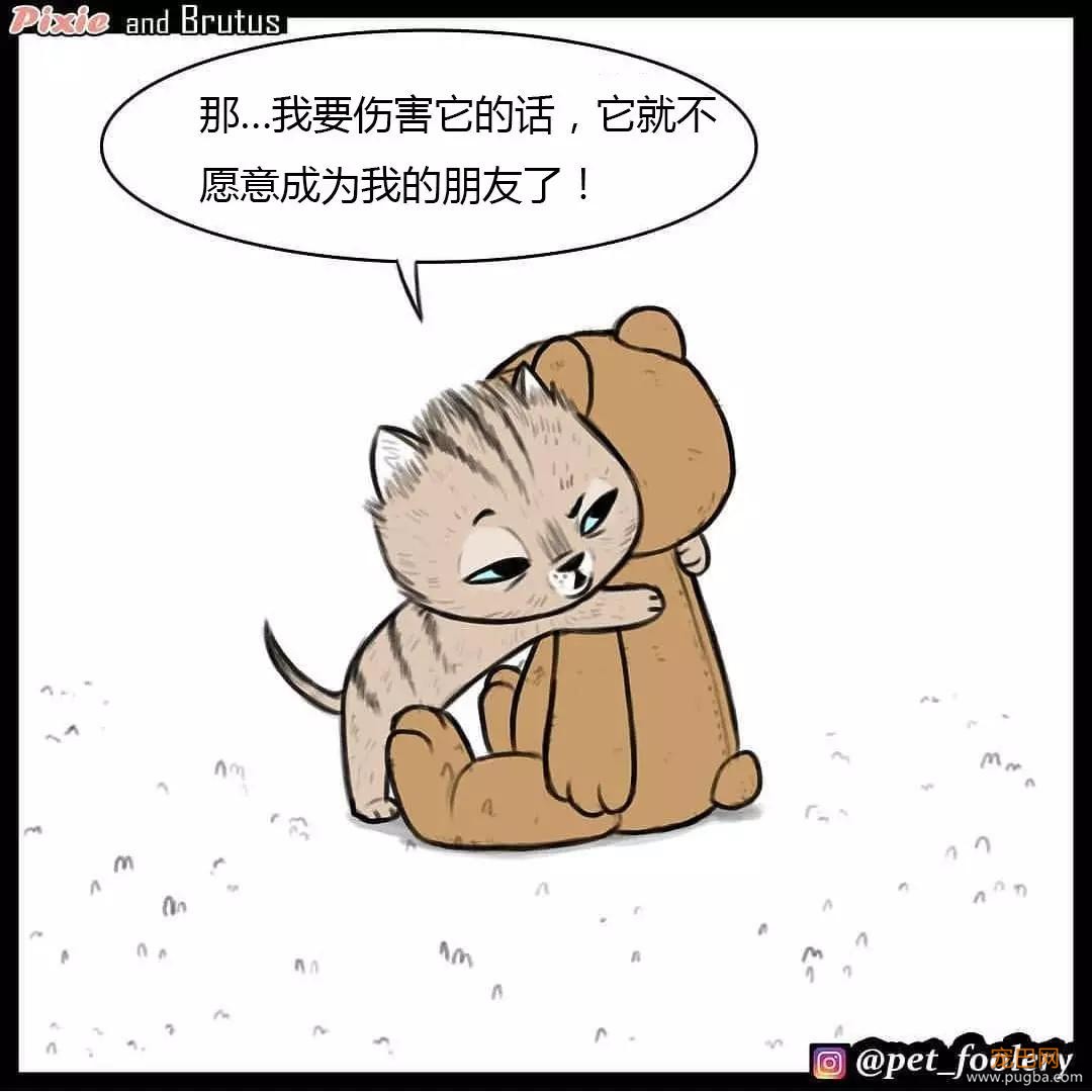 退役军犬和大眼萌猫的故事，续集来了！-42.jpg