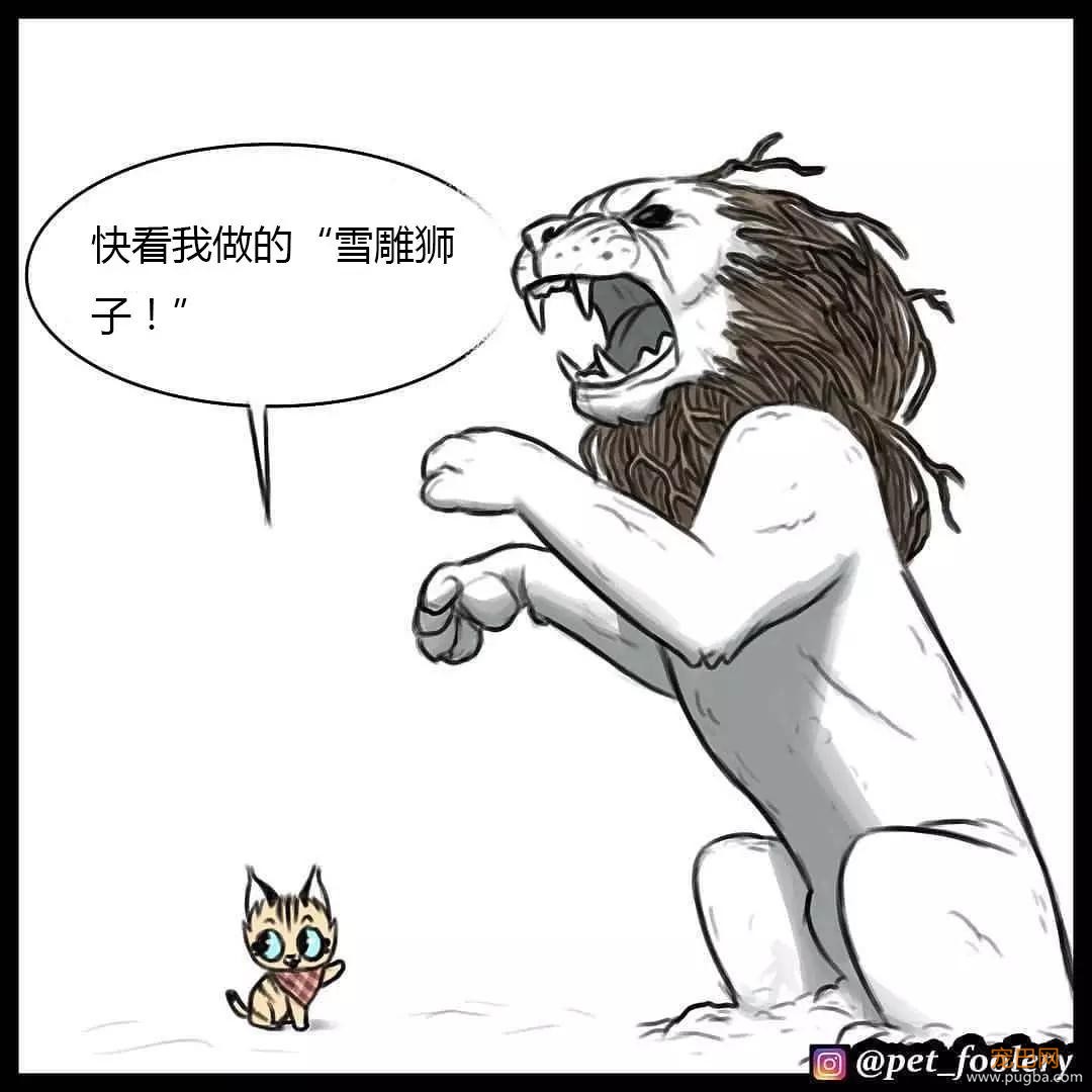 退役军犬和大眼萌猫的故事，续集来了！-46.jpg