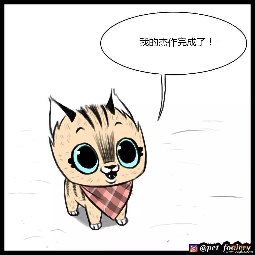 退役军犬和大眼萌猫的故事，续集来了！-45.jpg