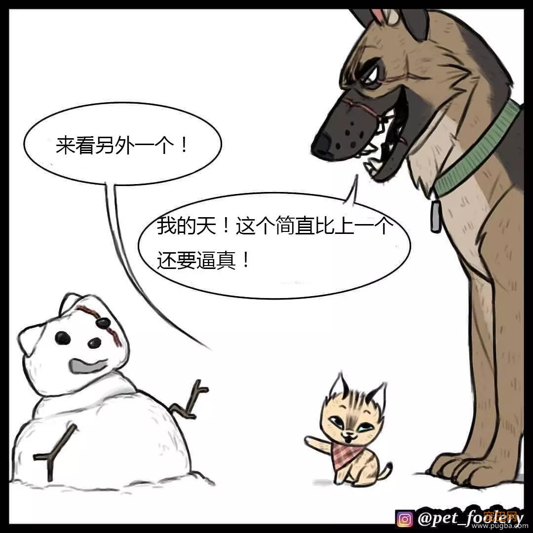 退役军犬和大眼萌猫的故事，续集来了！-48.jpg