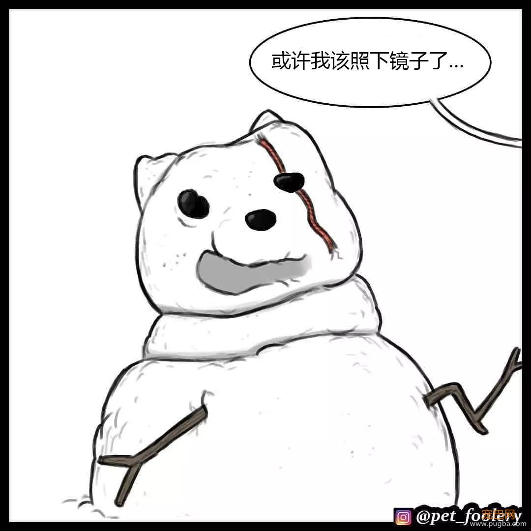 退役军犬和大眼萌猫的故事，续集来了！-50.jpg