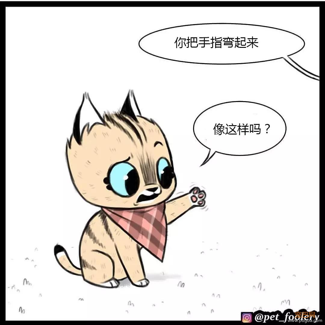退役军犬和大眼萌猫的故事，续集来了！-55.jpg