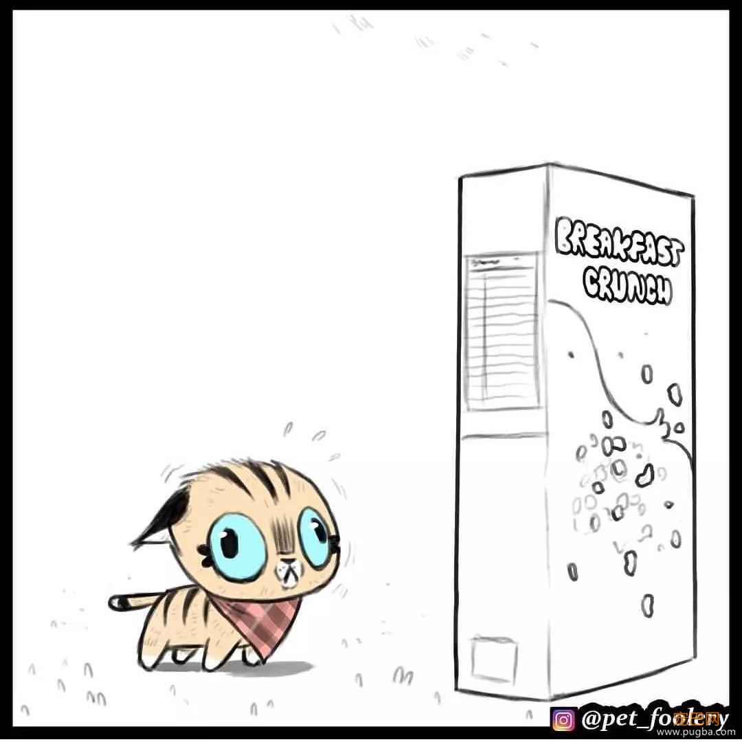 退役军犬和大眼萌猫的故事，续集来了！-64.jpg