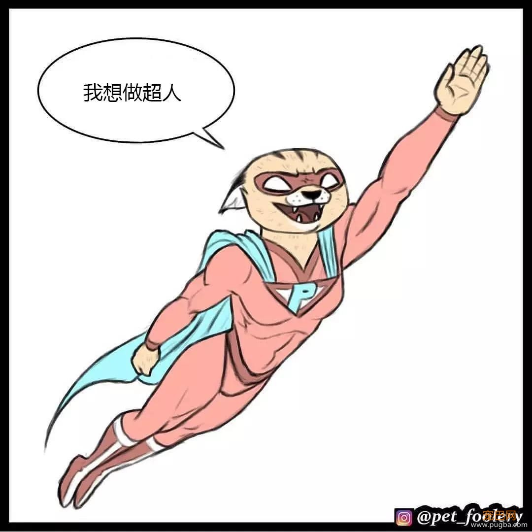 退役军犬和大眼萌猫的故事，续集来了！-59.jpg