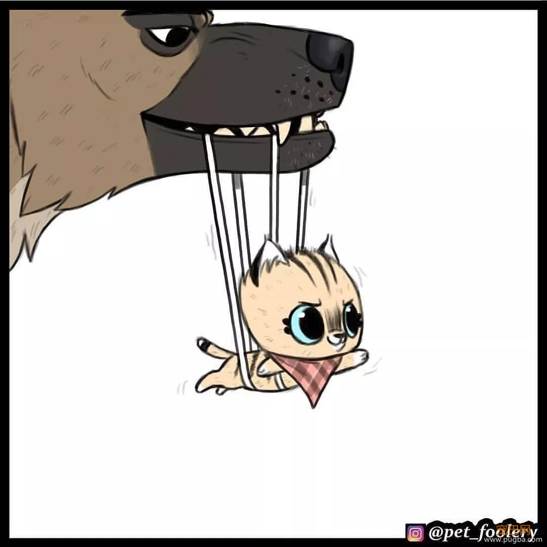 退役军犬和大眼萌猫的故事，续集来了！-60.jpg