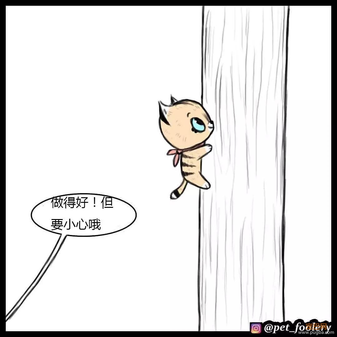 退役军犬和大眼萌猫的故事，续集来了！-68.jpg