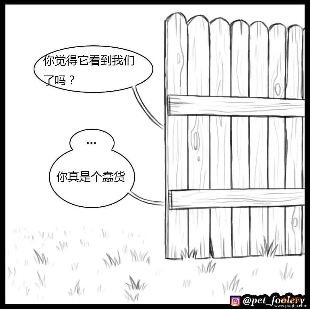 退役军犬和大眼萌猫的故事，续集来了！-80.jpg