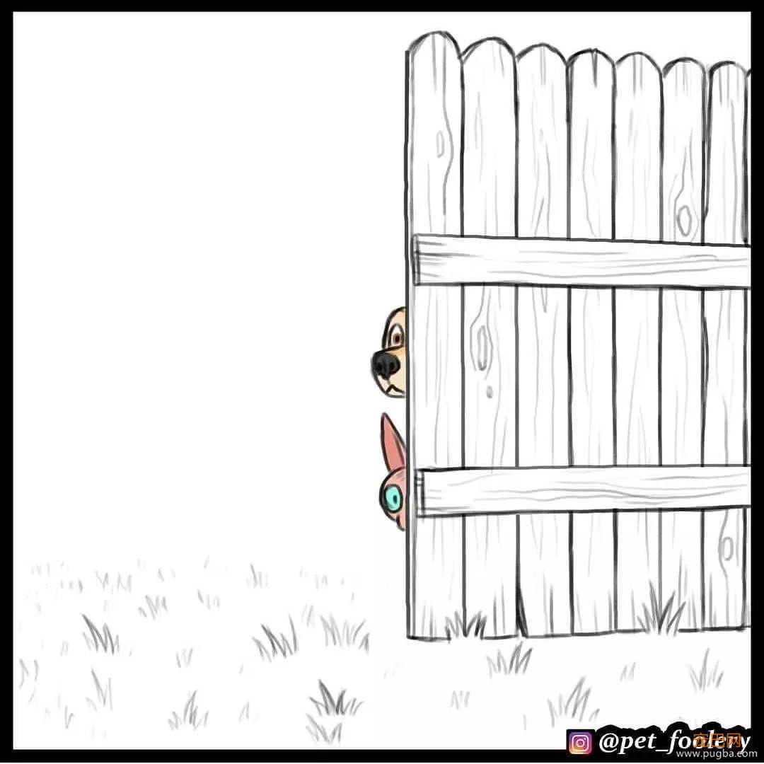 退役军犬和大眼萌猫的故事，续集来了！-79.jpg