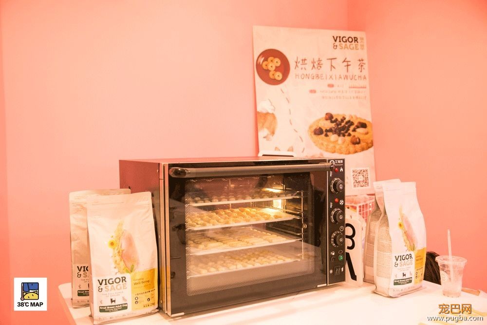 聚会 | 和狗狗一起烘焙饼干？如此诚意满满的零食别处买不到-22.jpeg