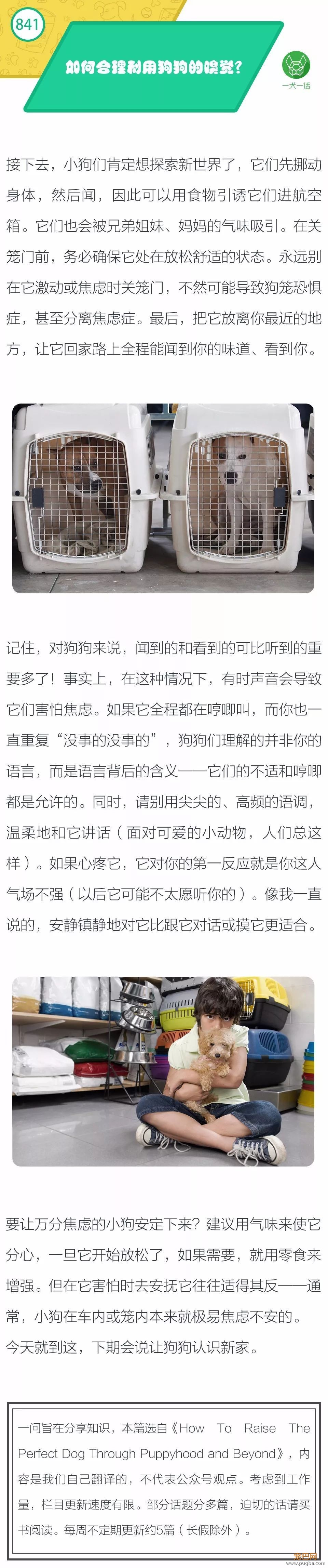 如何合理利用狗狗的嗅觉？-1.jpeg