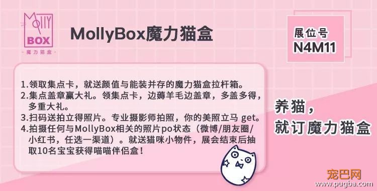 有了这份薅羊毛攻略，包你亚宠展满载而归-4.jpeg
