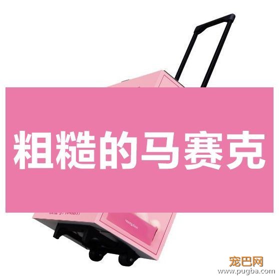 有了这份薅羊毛攻略，包你亚宠展满载而归-1.jpeg