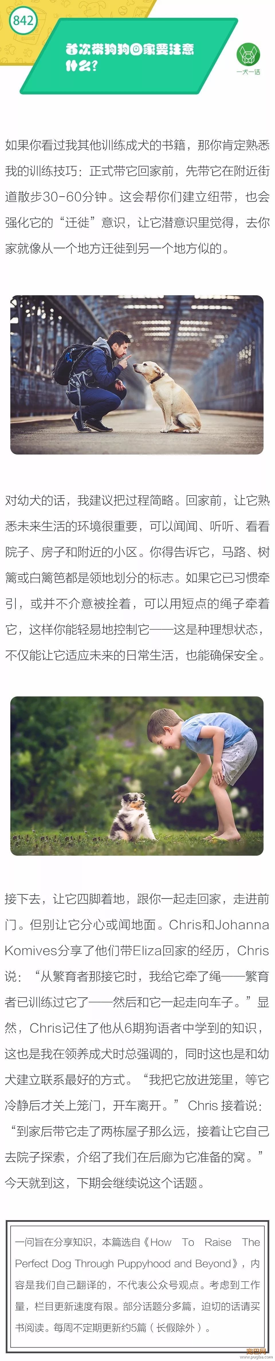 首次带狗狗回家要注意什么？-1.jpeg