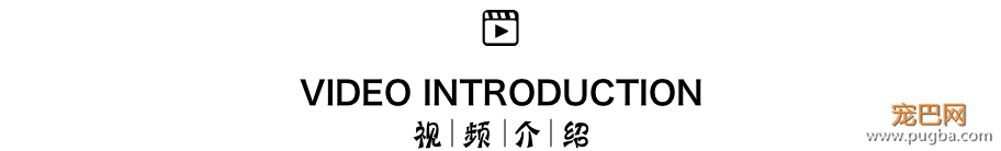 无漂流不夏天！快带狗子来天目山避暑~-4.png