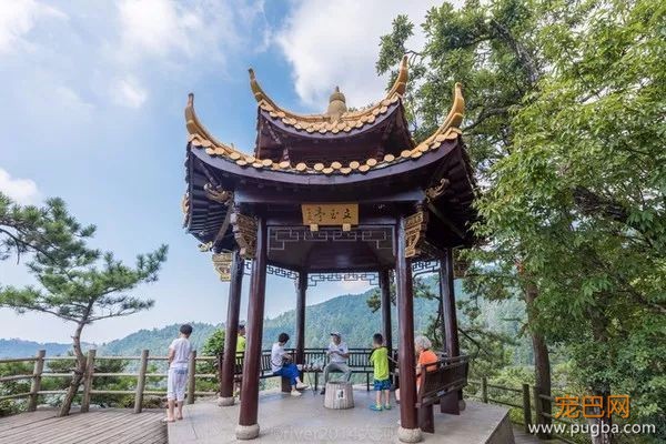 无漂流不夏天！快带狗子来天目山避暑~-8.jpeg