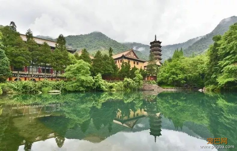 无漂流不夏天！快带狗子来天目山避暑~-10.jpeg