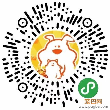 无漂流不夏天！快带狗子来天目山避暑~-28.jpeg