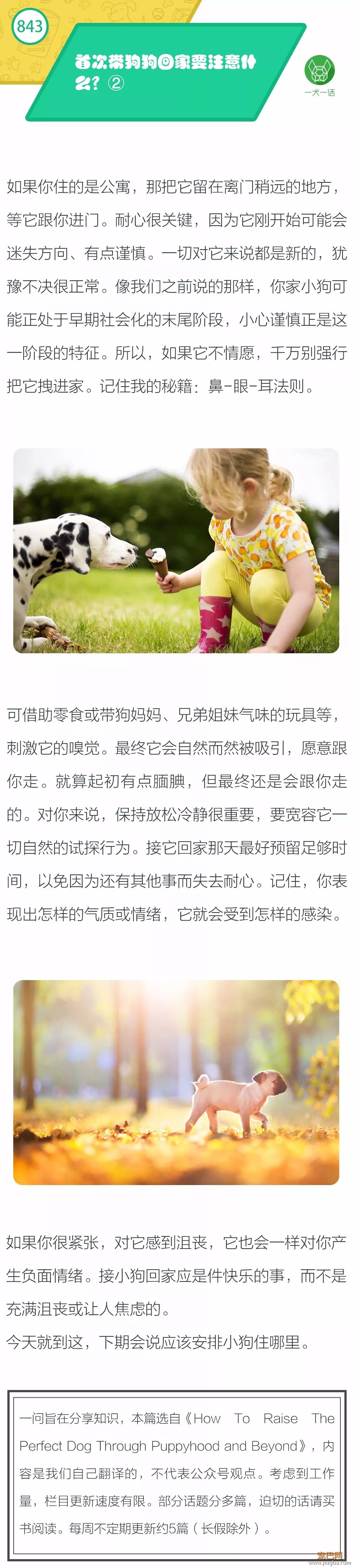 首次带狗狗回家要注意什么②？-1.jpeg