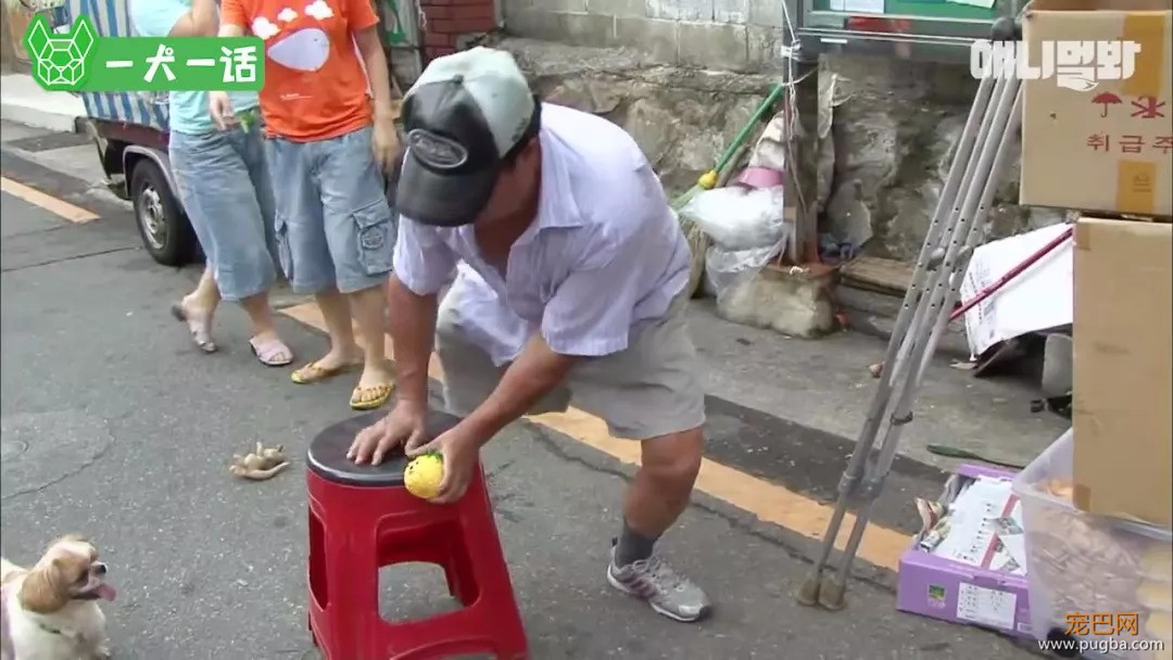 越了解狗狗，越觉得自己配不上它们-6.jpeg