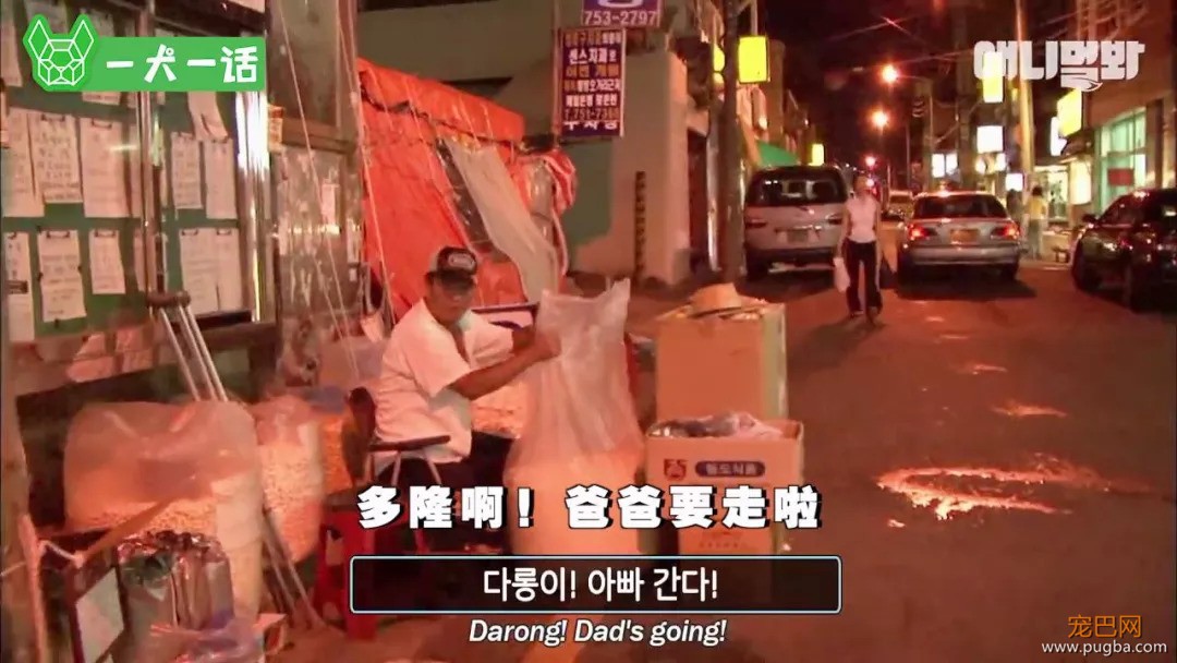 越了解狗狗，越觉得自己配不上它们-9.jpeg