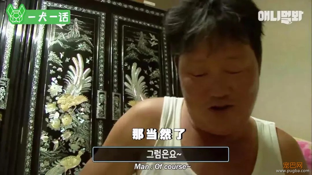 越了解狗狗，越觉得自己配不上它们-12.jpeg