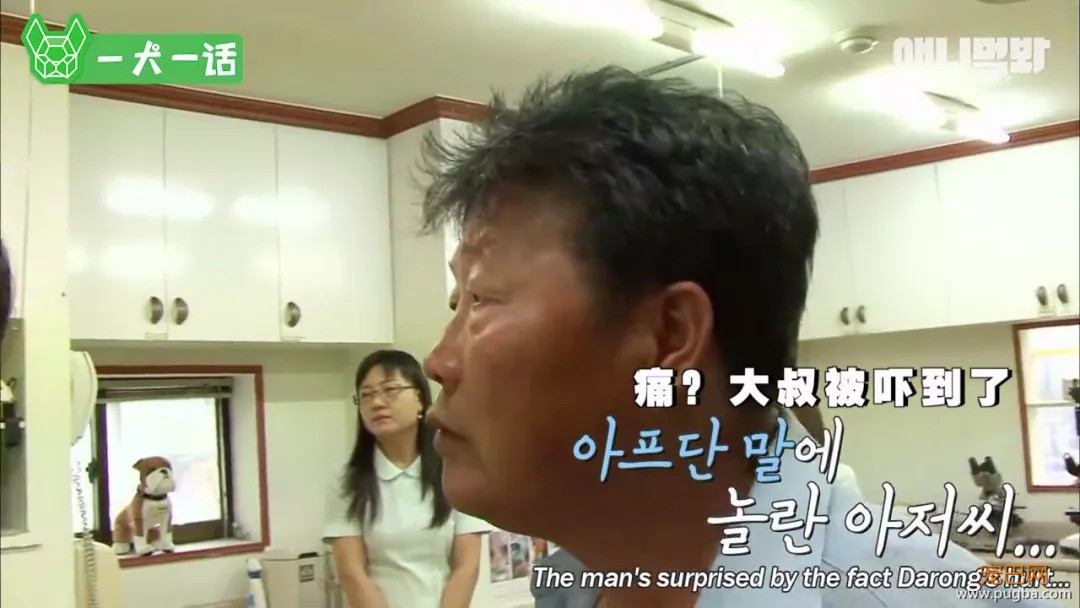越了解狗狗，越觉得自己配不上它们-16.jpeg