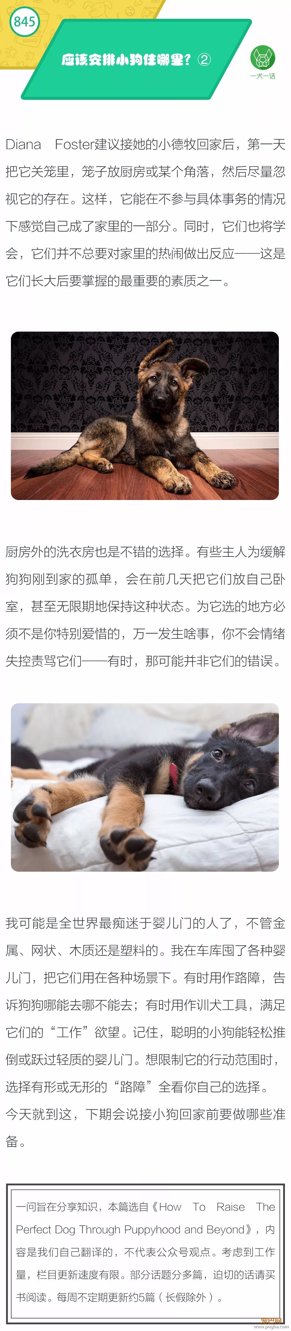 应该安排小狗住哪里？②-1.jpeg
