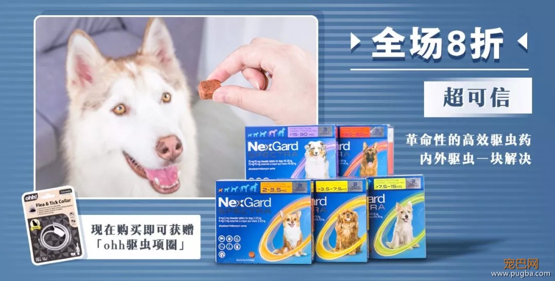 养狗长期不驱虫，究竟有多可怕？-9.jpeg