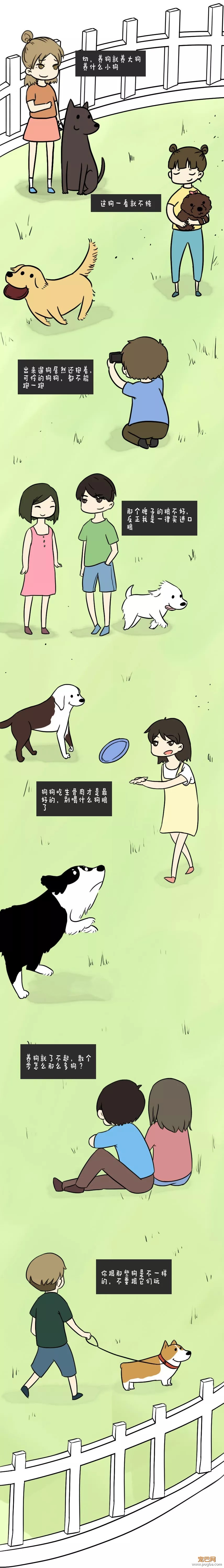 养狗前先学学怎么做人吧-2.jpeg