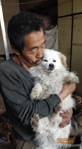 相依为命狗狗被人毒死，孤寡老人一句话让所有人泪目！-7.jpeg