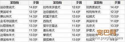 狗狗寿命排行榜，快来学学如何让狗狗更长寿！-1.jpeg