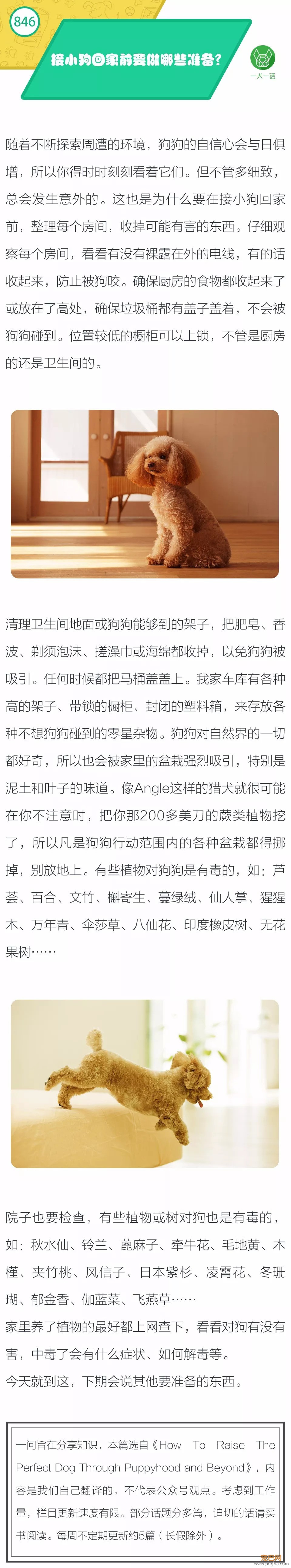 接小狗回家前要做哪些准备？-1.jpeg
