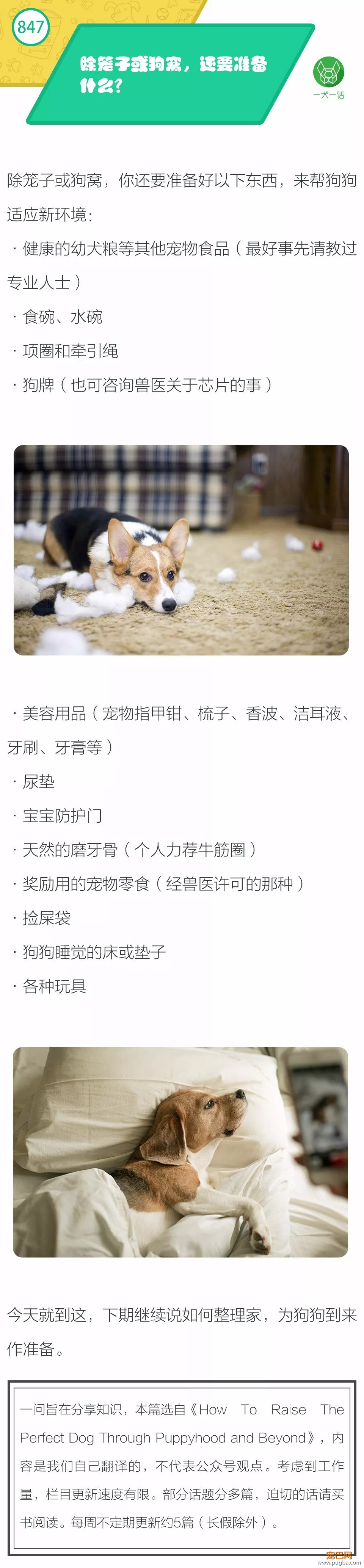 除笼子或狗窝，还要准备什么？-1.jpeg