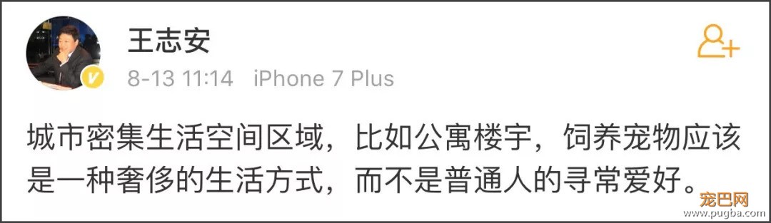 穷人为什么还养宠物？自己都过的很艰难了-1.jpeg