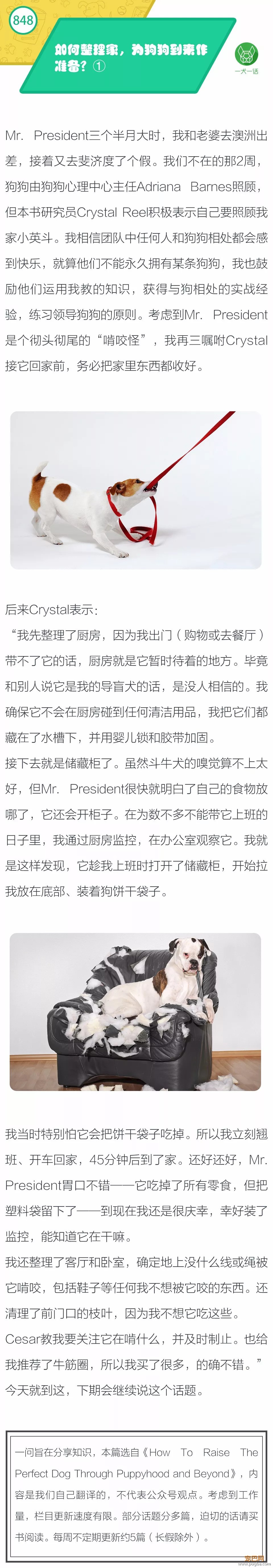 如何整理家，为狗狗到来作准备 ①-1.jpeg
