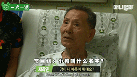 90岁老爷爷忘了每天见面的人，也没忘记他的狗-7.gif