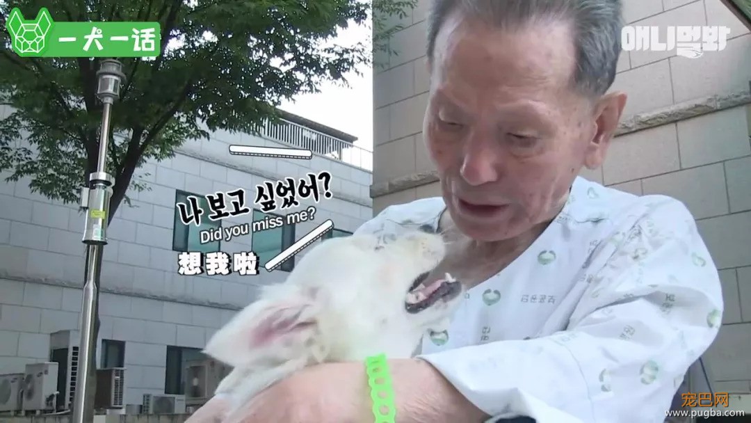 90岁老爷爷忘了每天见面的人，也没忘记他的狗-10.jpeg