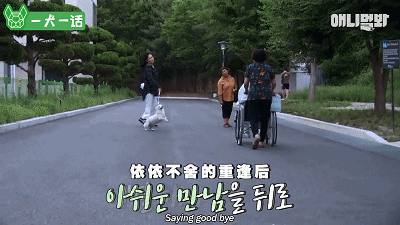 90岁老爷爷忘了每天见面的人，也没忘记他的狗-12.gif