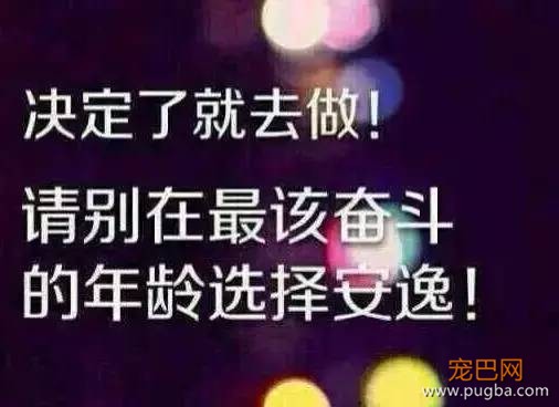 咱们干嘛要去招惹一条疯狗呢?-2.jpeg