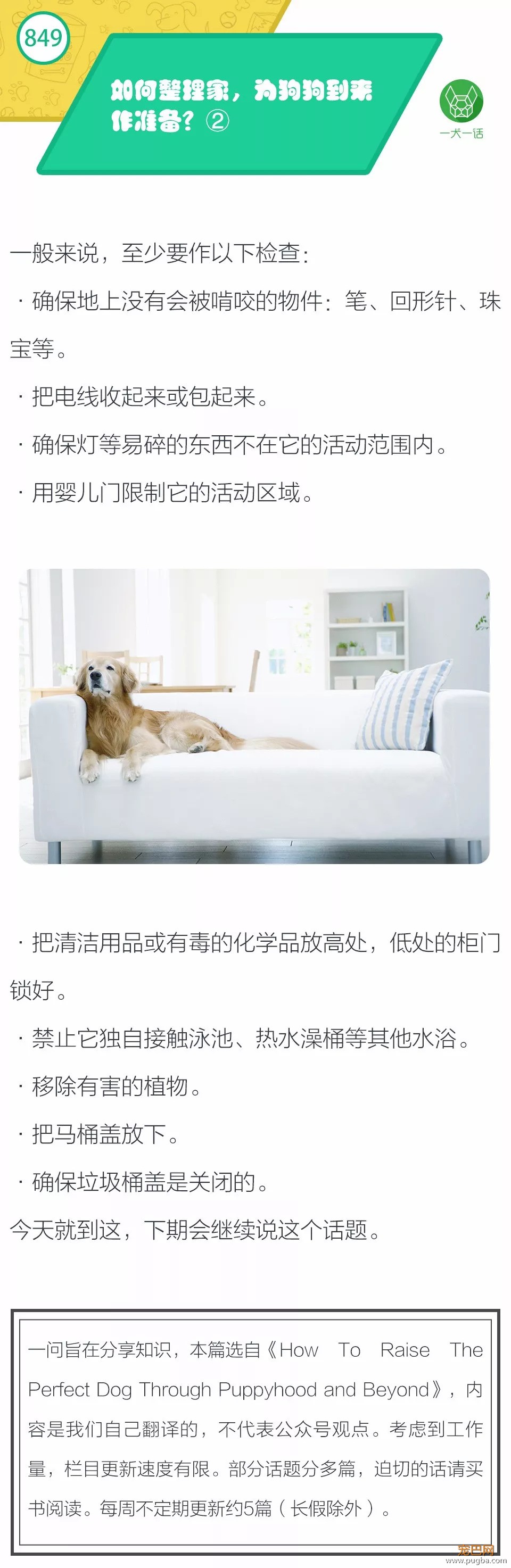 如何整理家，为狗狗到来作准备？②-1.jpeg