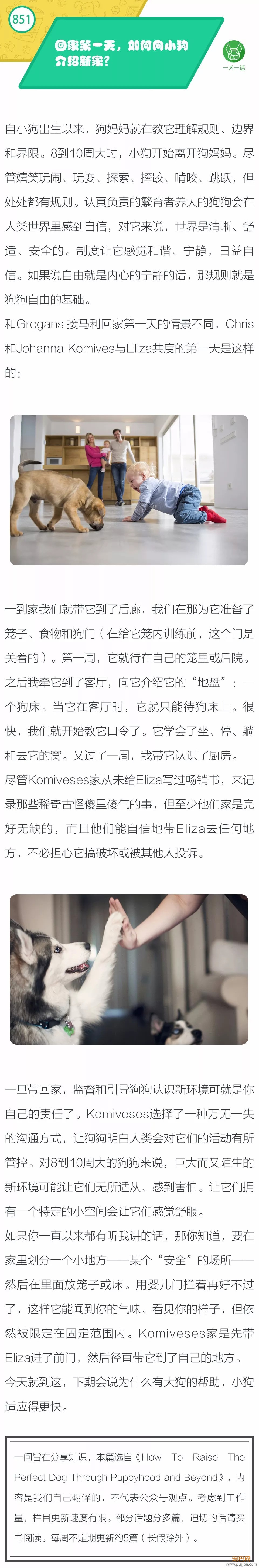 回家第一天，如何向小狗介绍新家？-1.jpeg
