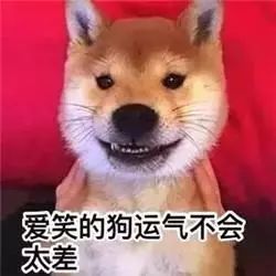 狗狗也会有心理疾病么？-1.jpeg