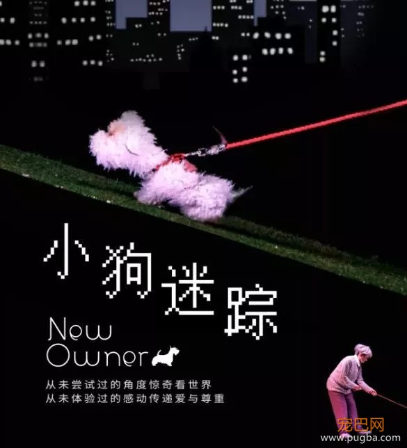 为了推荐你看澳洲人偶剧《小狗迷踪》，我都直接送票了！-3.jpeg