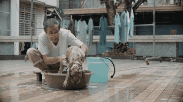空巢老人在街头收养了一只流浪狗，后来原主人出现了……-5.gif