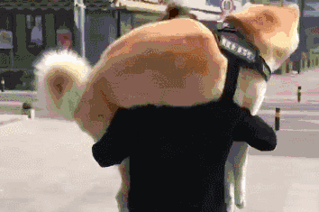 有一种痛苦，叫做狗狗死活都不肯回家！-21.gif
