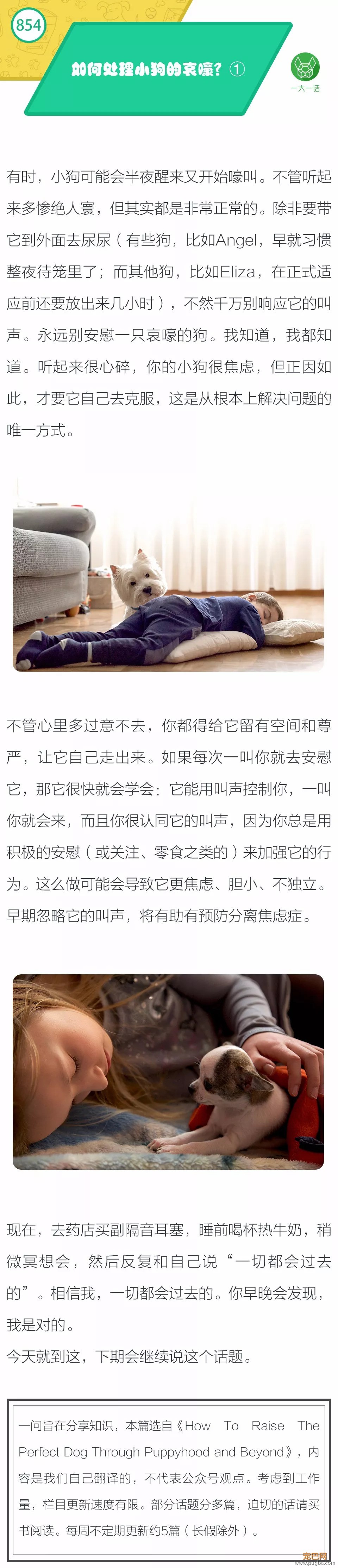 如何处理小狗的哀嚎？①-1.jpeg